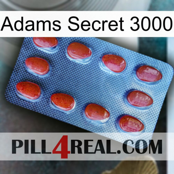 Adams Secret 3000 06